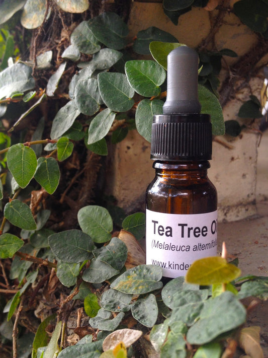 Tea Tree