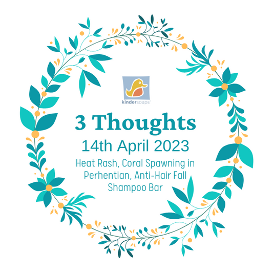 3 Thoughts for April 2023 - Heat Rash, Coral Spawning Event in Perhentian, Anti-Hair Fall Shampoo Being Researched