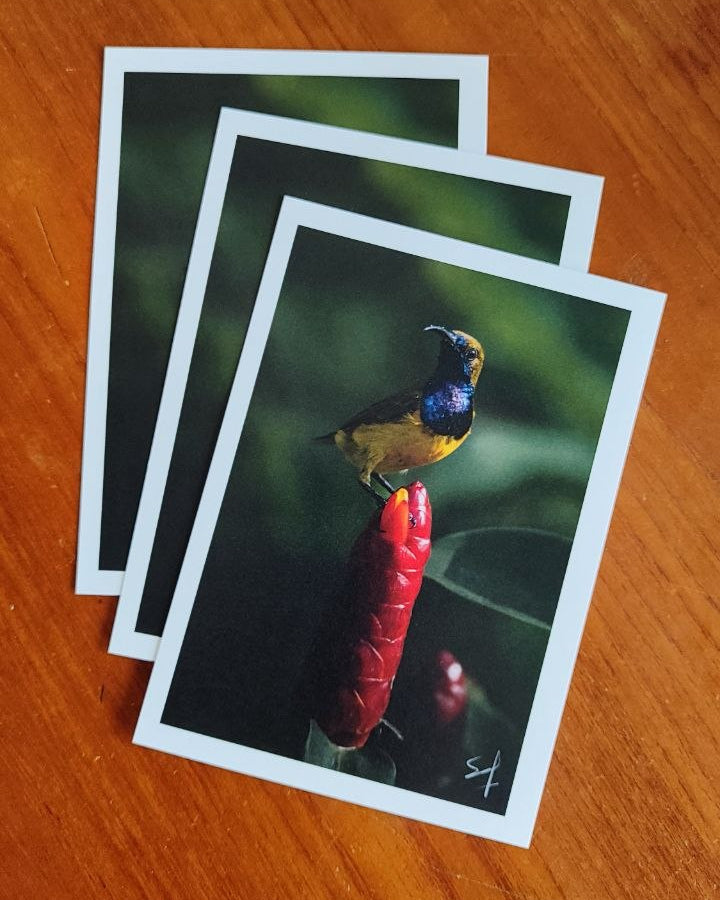Postcard - Mar 2026