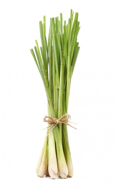 Lemongrass